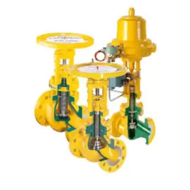 Descote bellows sealed globe valves