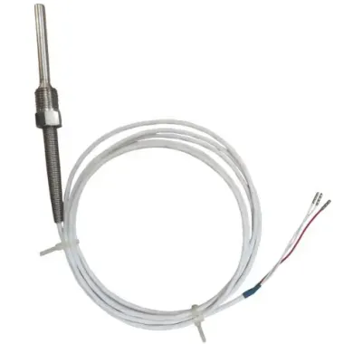 Cảm biến nhiệt độ Pt100 dạng dây